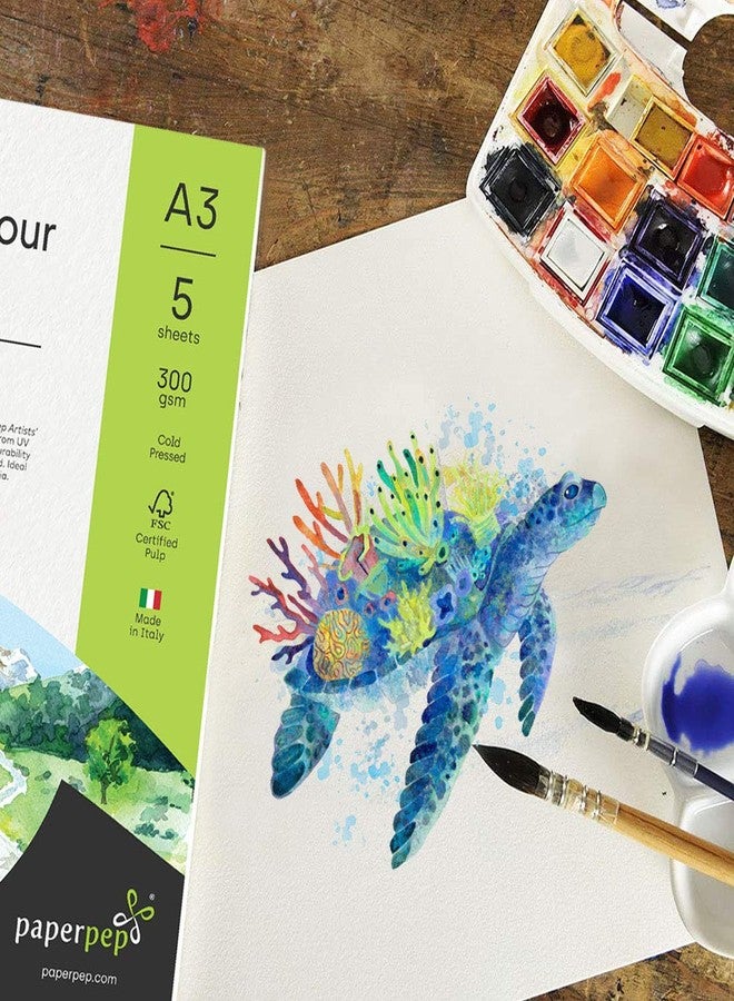 PaperPep Artists' Watercolour Paper 300GSM Cold Pressed A3 (Pack of 5) + A4 (Pack of 10) for Watercolour, Gouache, Ink, Acrylic, Wet & Mixed Media, Art Painting, Drawing for Artists' & Amateurs - Image 5